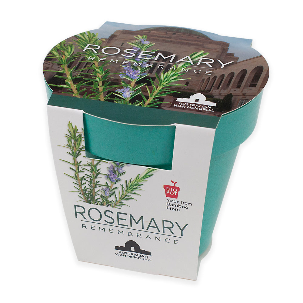 Seedling kit: Grow-Your-Own, Rosemary