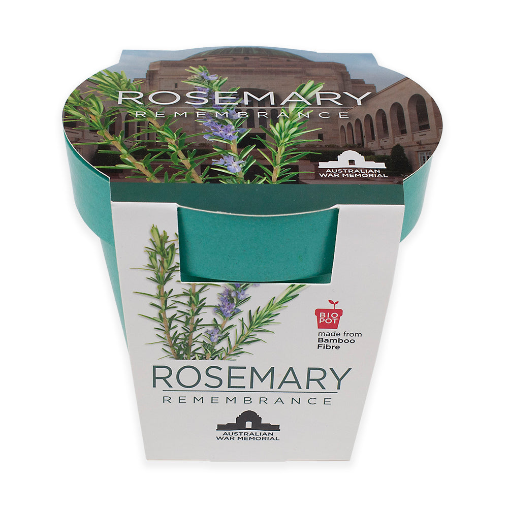 Seedling kit: Grow-Your-Own, Rosemary