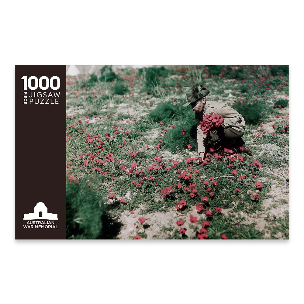 Jigsaw Puzzle: An Australian Light Horseman collecting anemones