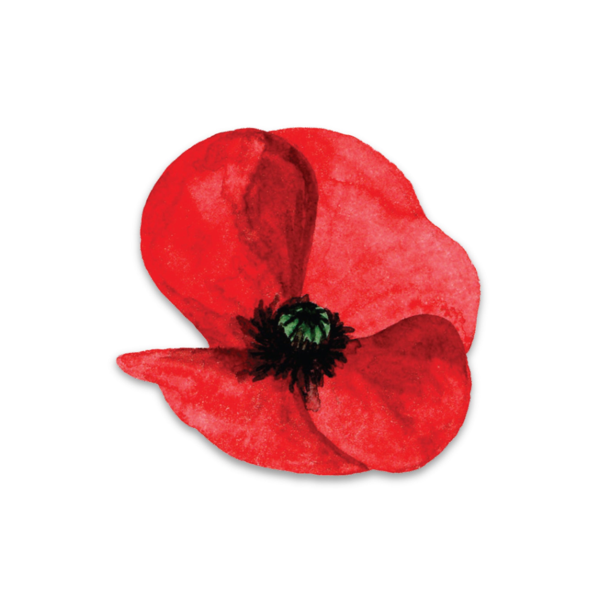 Sticker: Poppies