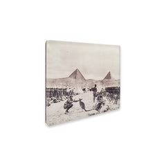 Memorial Shop Exclusives - Animals in War