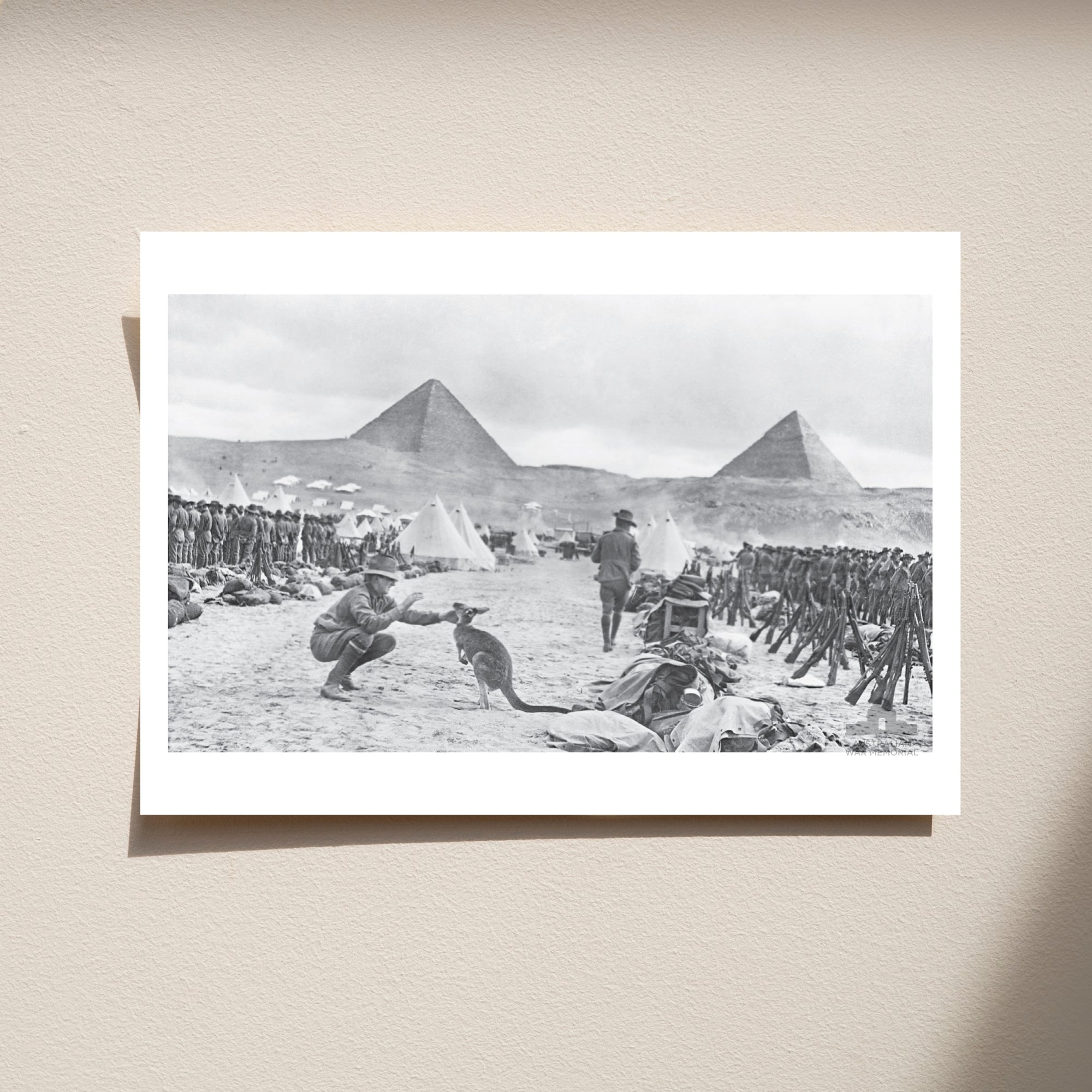 Postcard: An unexpected visitor in Mena Camp, Egypt