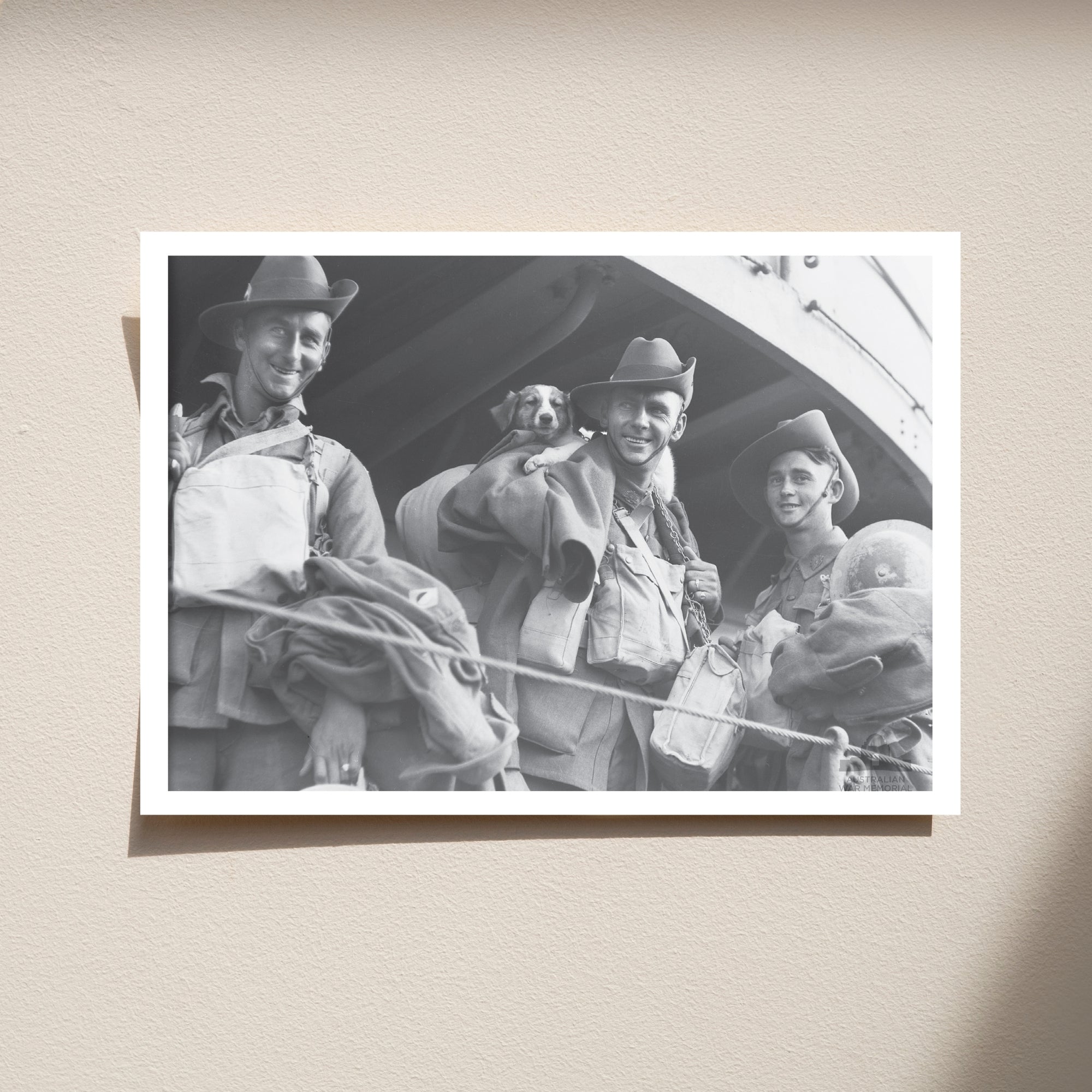 Postcard: An unexpected passenger on board HMS Kingston