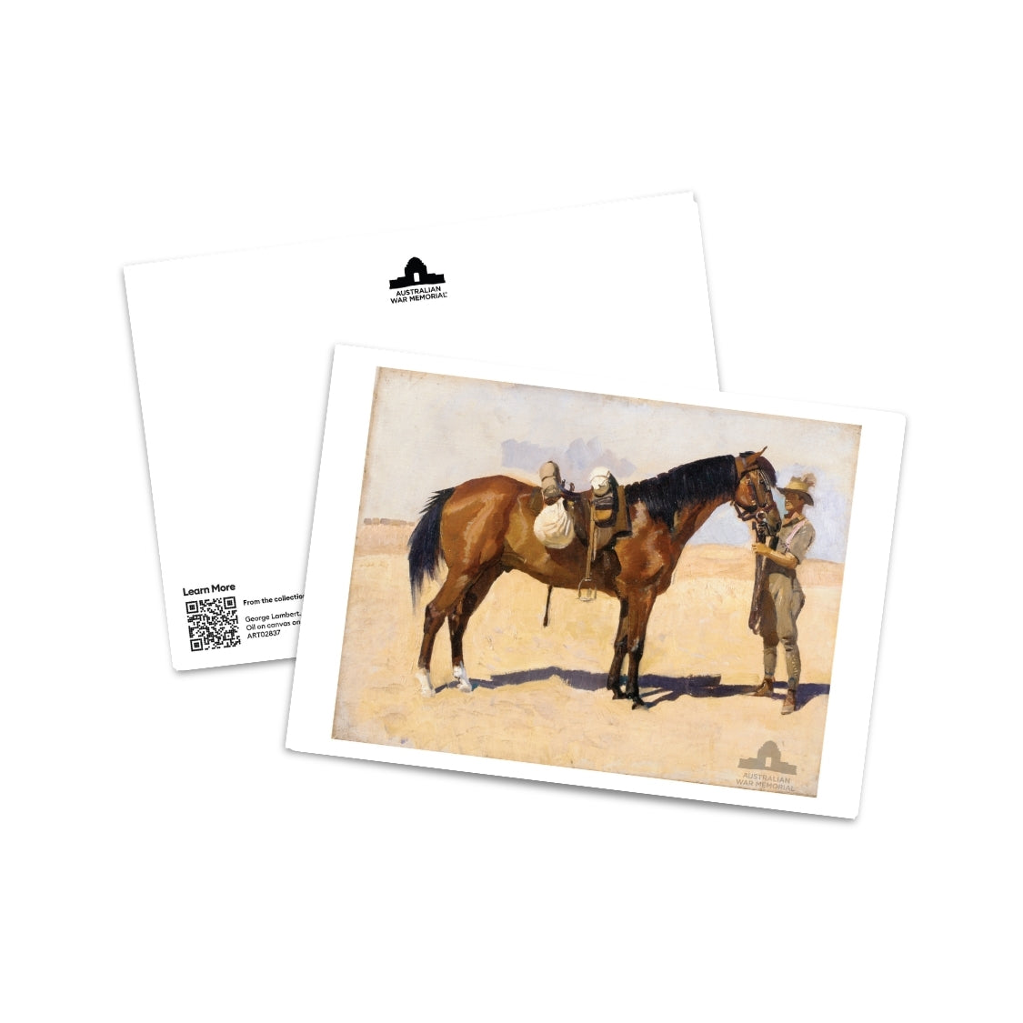 Postcard: A favourite charger with groom, Anzac Mounted Division