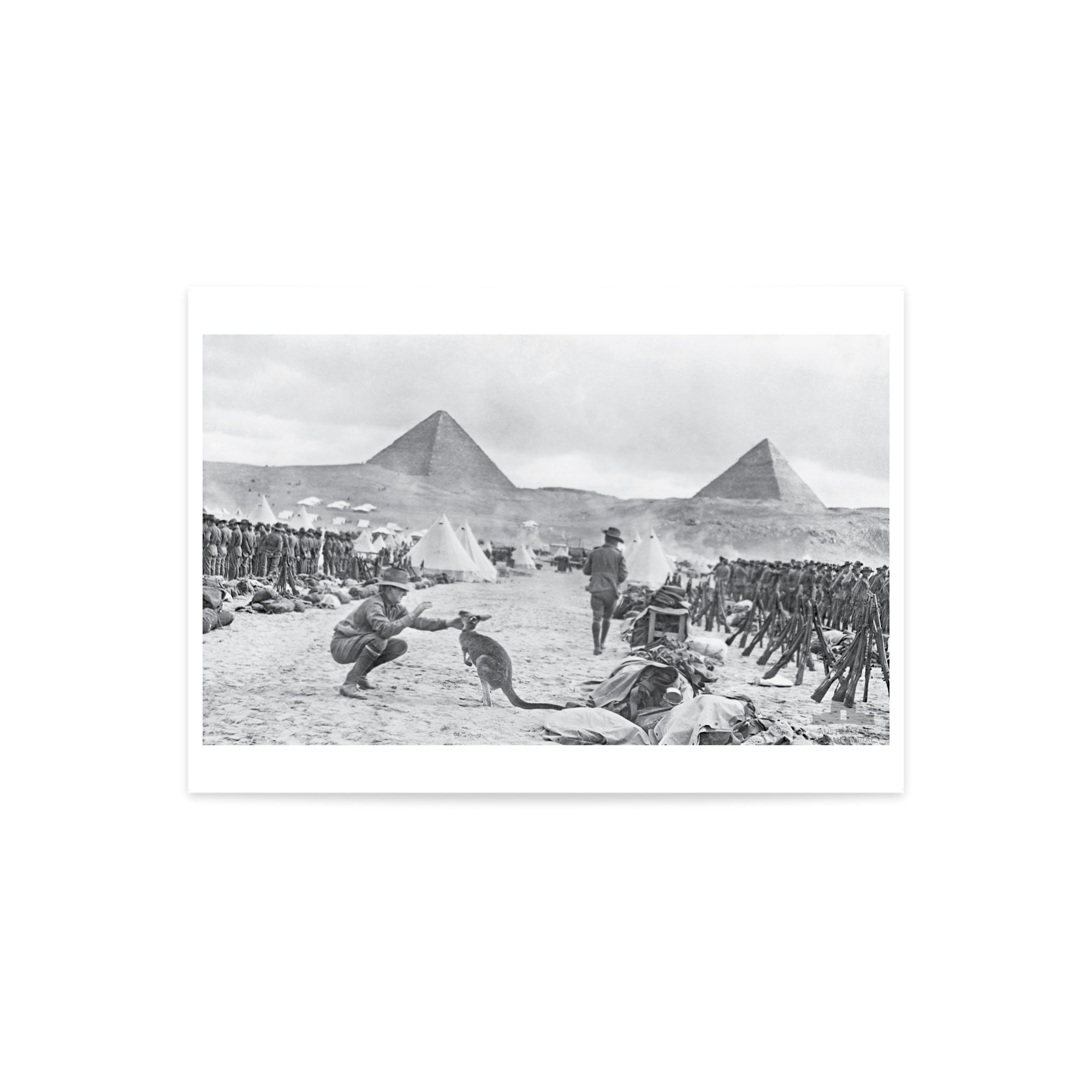 Print, A3: An unexpected visitor in Mena Camp, Egypt