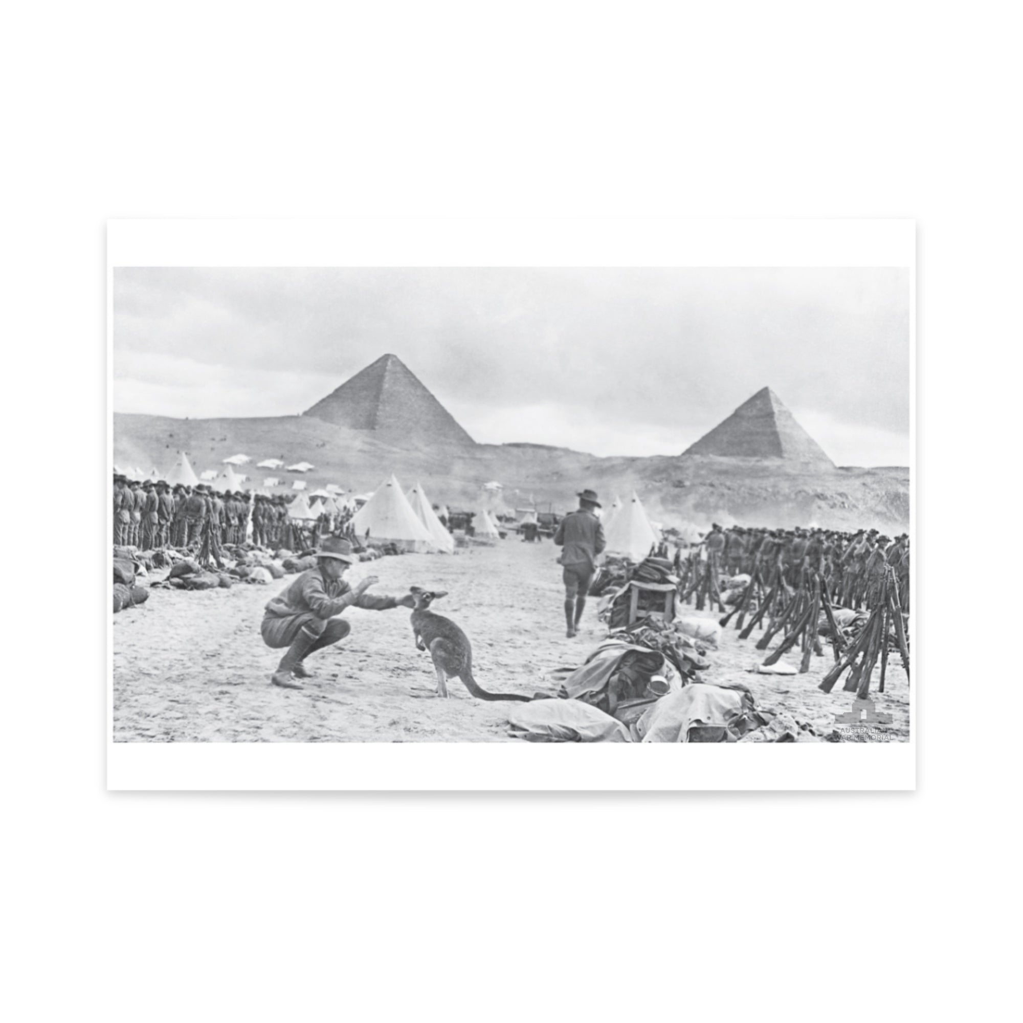 Poster mock-up of photograph - An unexpected visitor in Mena Camp, Egypt. 1914. From the collection of the Australian War Memorial - C02588.
