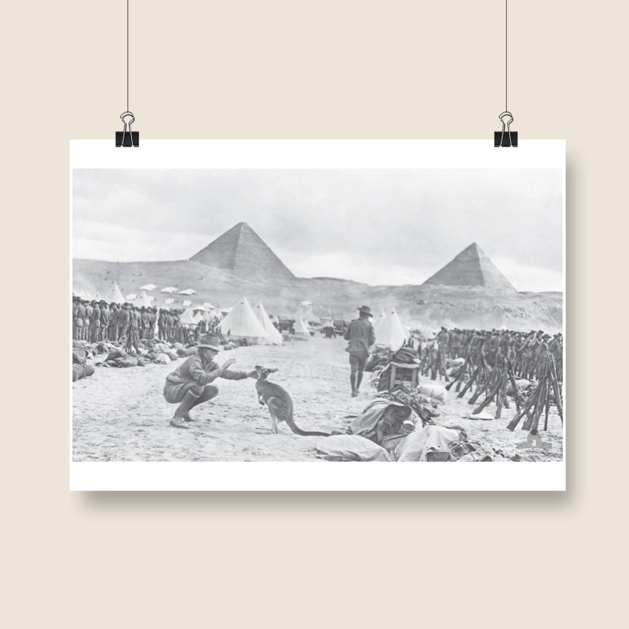 Poster mock-up of photograph - An unexpected visitor in Mena Camp, Egypt. 1914. From the collection of the Australian War Memorial - C02588.