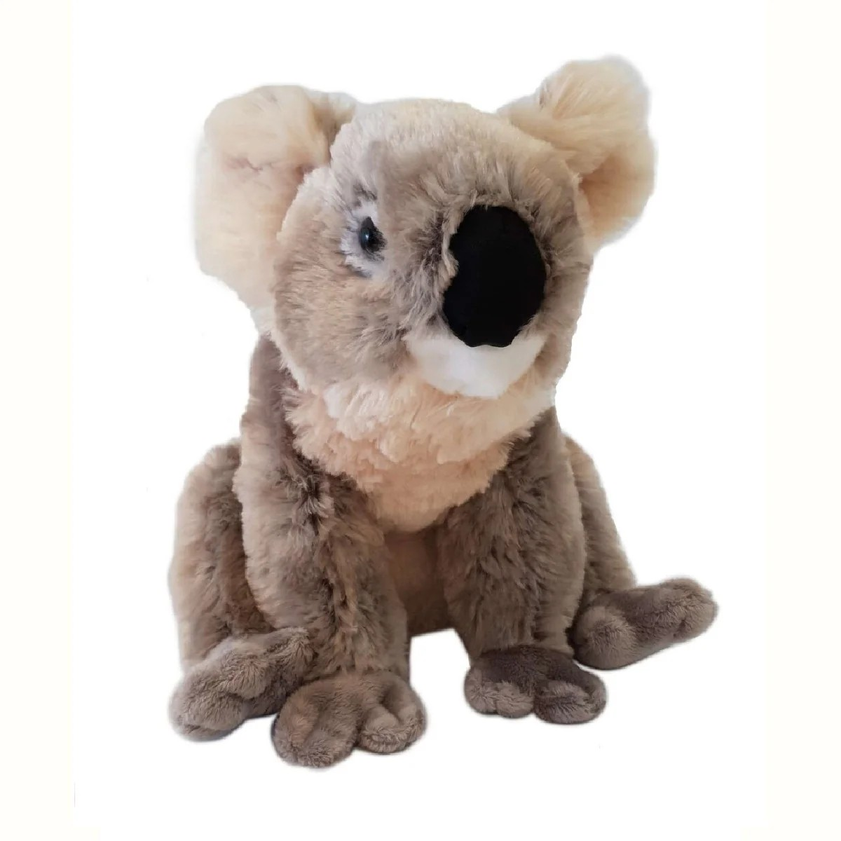 KOALA 12