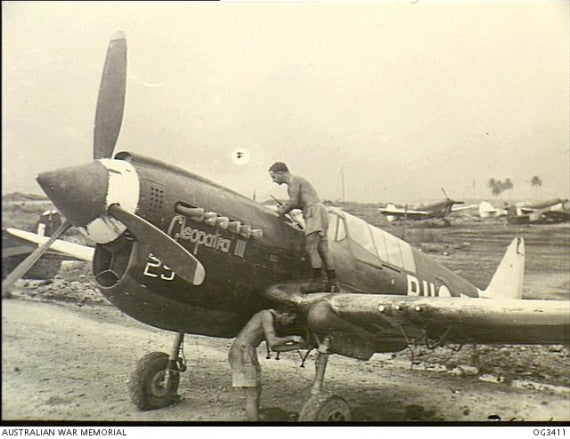 P-40 M/N Warhawk (RAAF markings), 1:72 scale